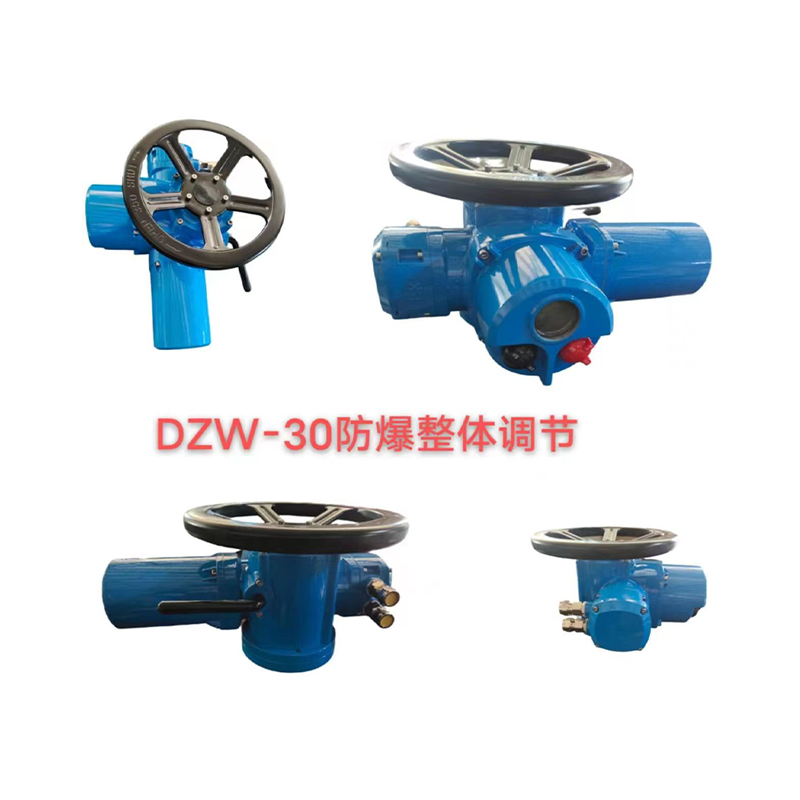 DZW-30防爆整体调节电装